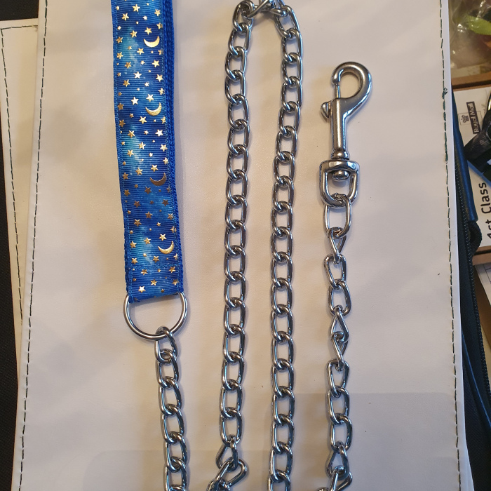 Patterned Leash - Blue & Gold Space