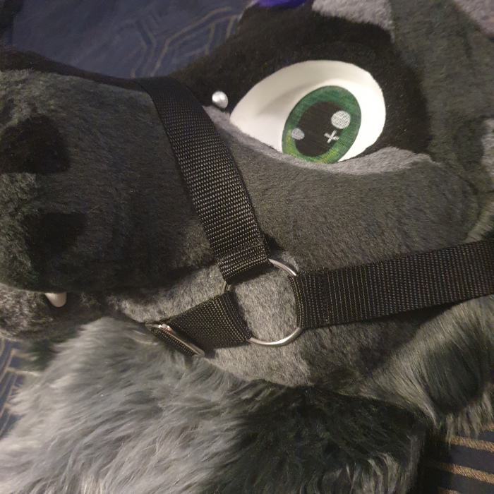 Plain Muzzle - Fursuit Sized - Black