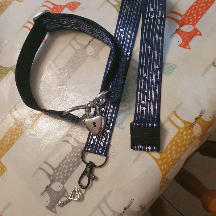 Patterned Collar - Lock & Lanyard