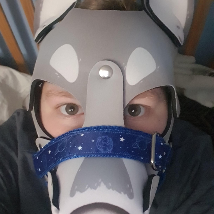 Patterned Muzzle - Pup Hood Sized - Blue & White Space